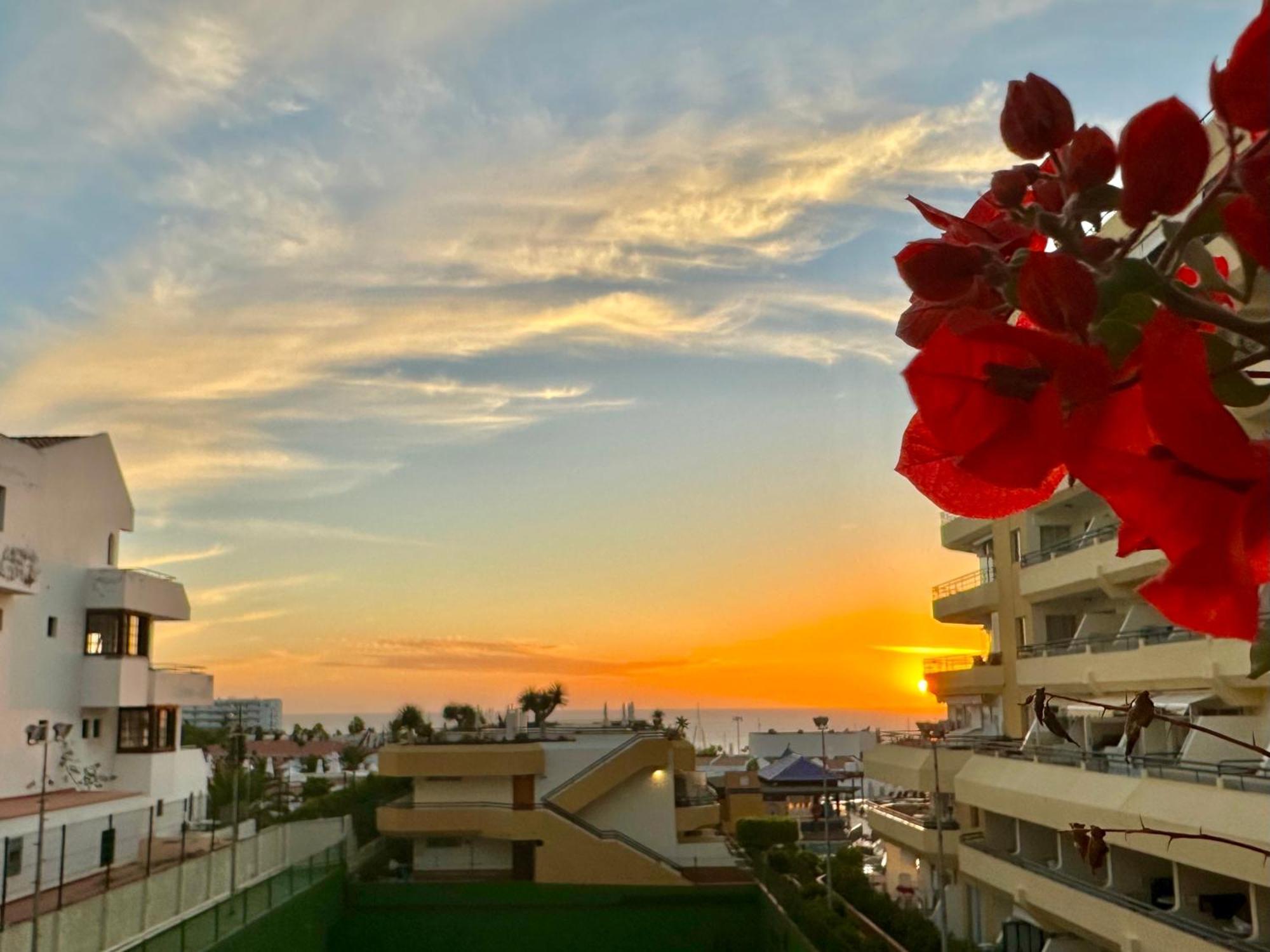 Apartment In Ocean Park, Costa Adeje, Tenerife ภายนอก รูปภาพ