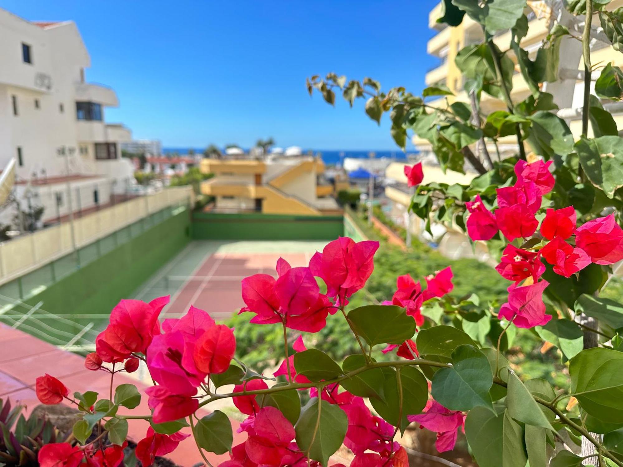 Apartment In Ocean Park, Costa Adeje, Tenerife ภายนอก รูปภาพ